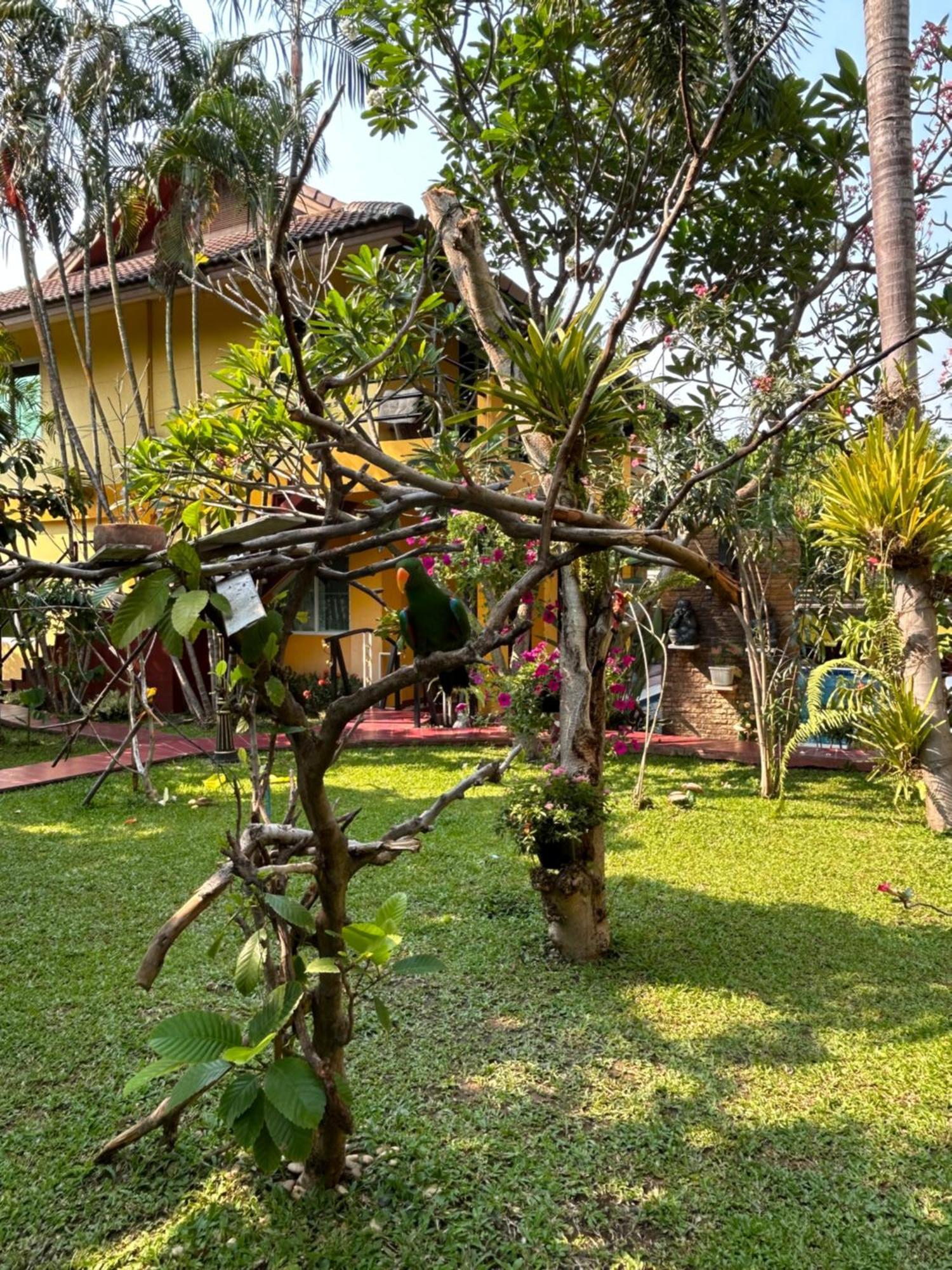Lamduan Boutique Homestay Chiang Mai Esterno foto